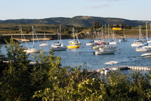 Sailboats moored at Ghost Lake Marina by Calgary